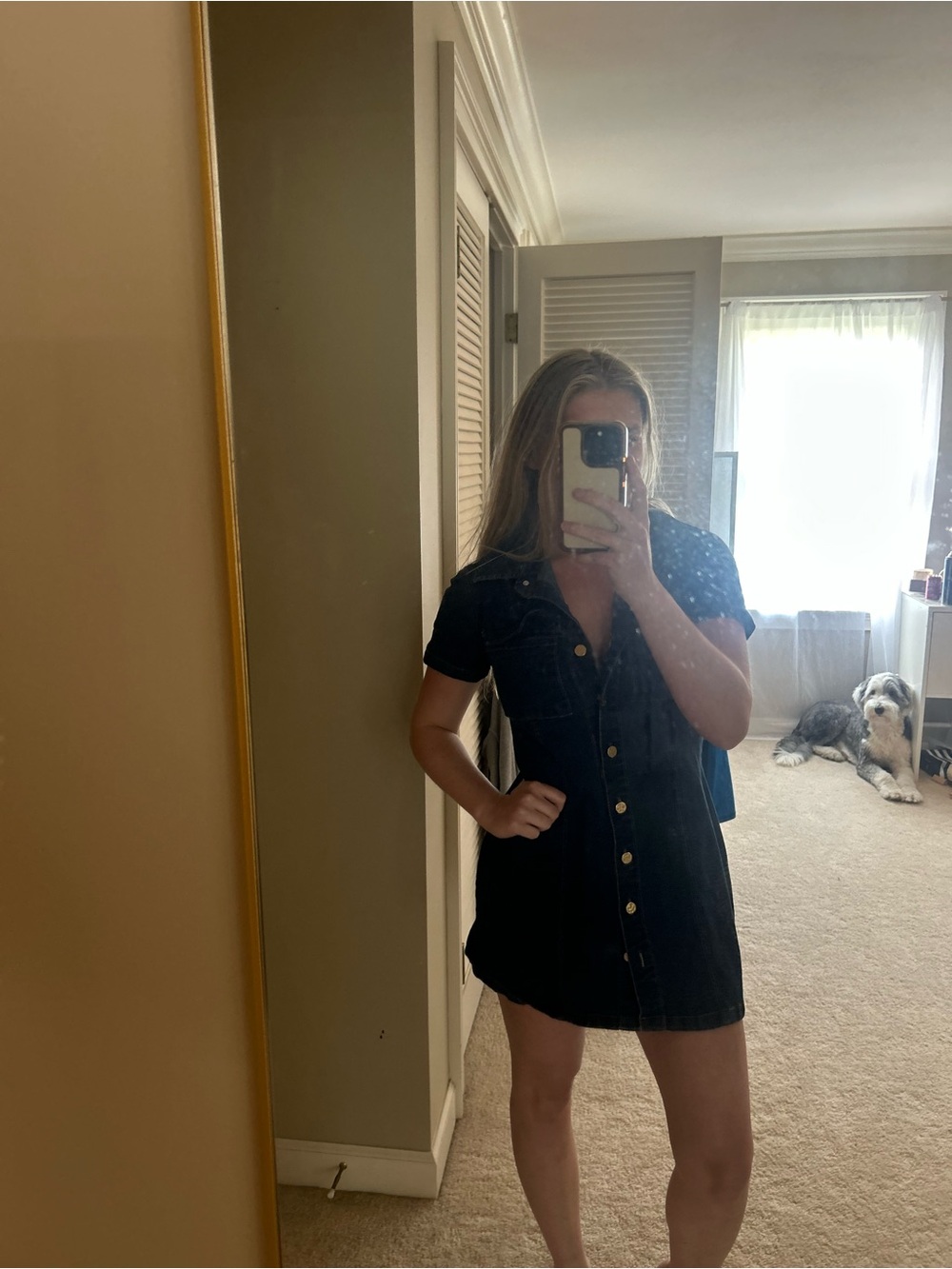 Button-Front Blue Denim Mini Dress
